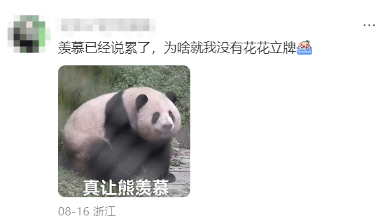 熊猫联名广告立牌都被“偷”了！开元棋牌【数字营销】霸王茶姬与(图17)